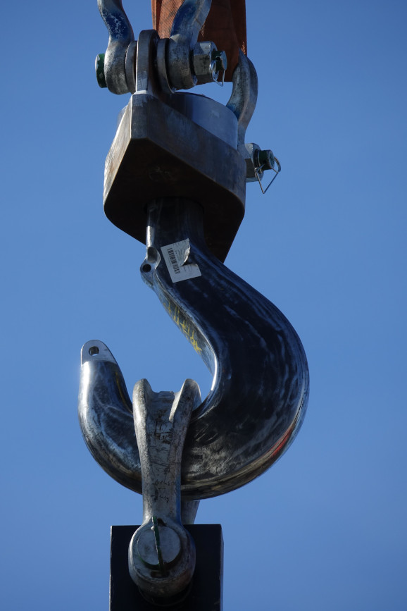 REN02005_3d hook